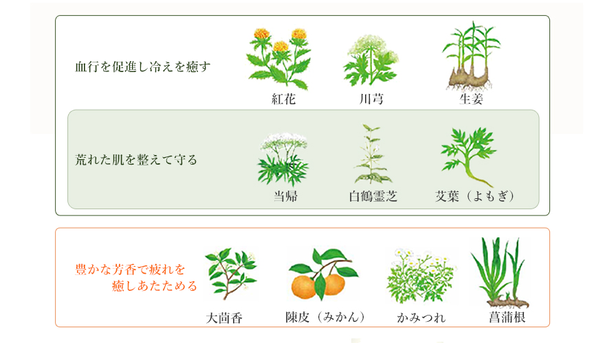 10種の和漢素材
