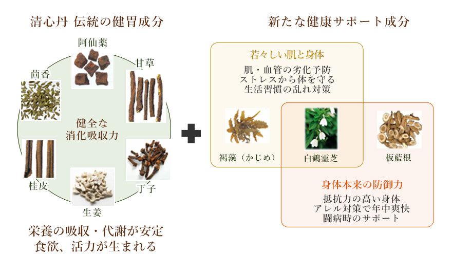 和漢素材の配合特性